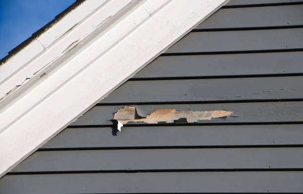 Best Siding for New Construction  in USA